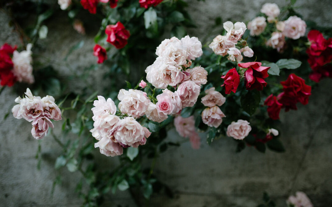 Details of an unattended cremation ceremony